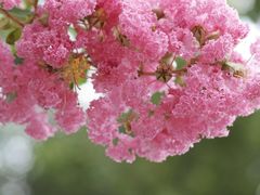 -幽篁里古琴制作中心