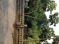-滴水岩森林公园