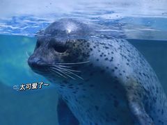 -左海海底世界