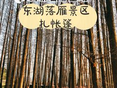 -东湖落雁景区