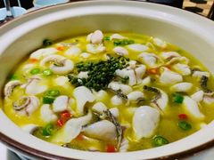 -青花椒花椒鱼(合生汇店)