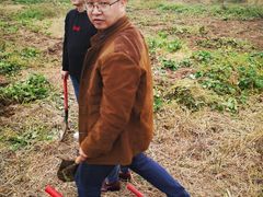 -悦宝园早教中心(庐阳区省直中心店)