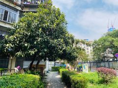 -牛杂大叔(园岭总店)