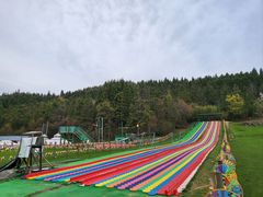 -武陵山森林公园