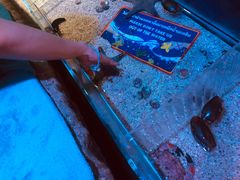 -暹罗海洋世界