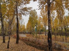 -鄂尔多斯野生动物园