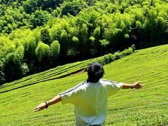 -敬亭山风景名胜区