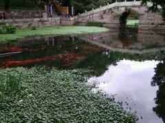 -普陀山风景名胜区-法雨禅寺
