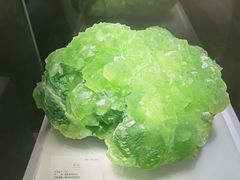 -湖南省地质博物馆