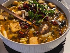 -Colourful Yunnan Hawthorn 彩云南 孔雀