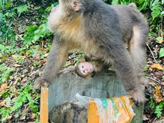 -西岭雪山大飞水景区