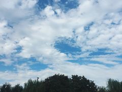 -柳浪游泳场