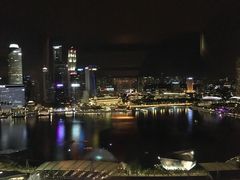 -新加坡丽思卡尔顿美年酒店