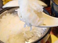 东北大米饭-真功夫(中医院店)