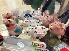 -谢列梅捷沃国际机场