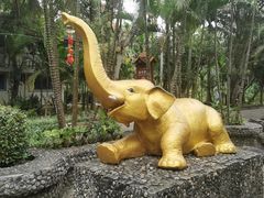 -西双版纳傣族园