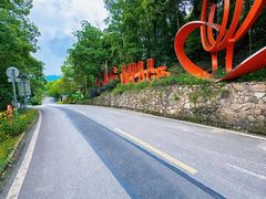 -南山植物园