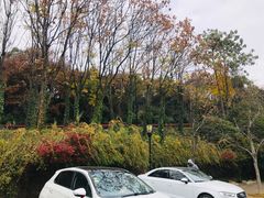 -宝界山林公园