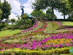 -东莞植物园