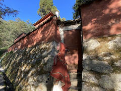 -寂照庵
