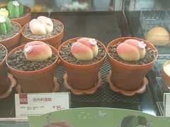 -85度C(石狮狮城店)
