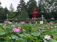 -重庆园博园
