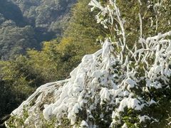-宁波五龙潭景区