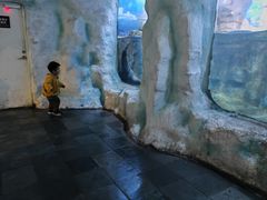-南昌海洋公园