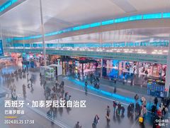 -巴塞罗那约瑟·塔拉德利亚斯-埃尔·普拉特机场