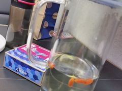 -江南鱼捞(北仑银泰城店)
