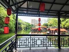 -侨美·唐荔园·40年地道粤菜