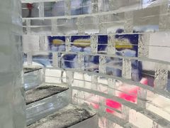-广州热雪奇迹