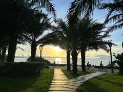 -深圳湾公园(南山区)