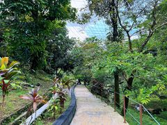 -吉隆坡雀鸟公园