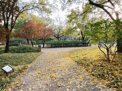 -玲珑塔公园