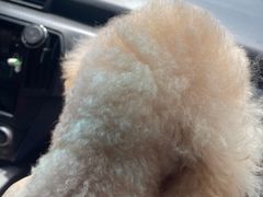 -全心全意动物诊疗中心医院(北苑店)