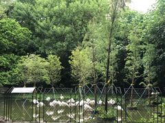 -广州动物园