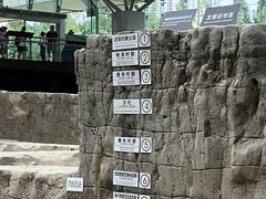-金沙遗址博物馆