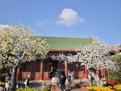 -珠海圆明新园