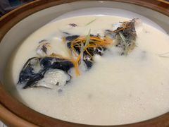 奶汤鱼头-得尔乐大酒店(南塘店)