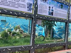 -青藏高原野生动物园