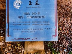 -杭州上天竺法喜讲寺
