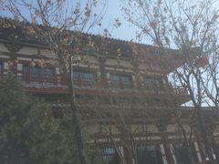 -西安青龙寺遗址景区