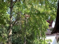 -西园戒幢律寺