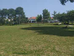 -傅家庄公园