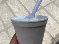 椰子雪糕-洪馨椰子