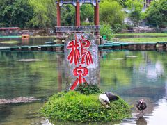 -靖西鹅泉风景区