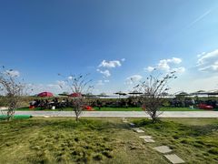 -七的湖·晚芳亭·阳澄湖农家菜·大闸蟹(莲花岛店)