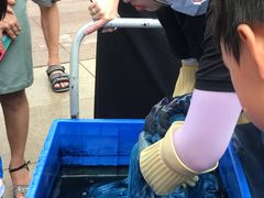 -观澜湖手艺工场·陶艺·吹玻璃·拼豆