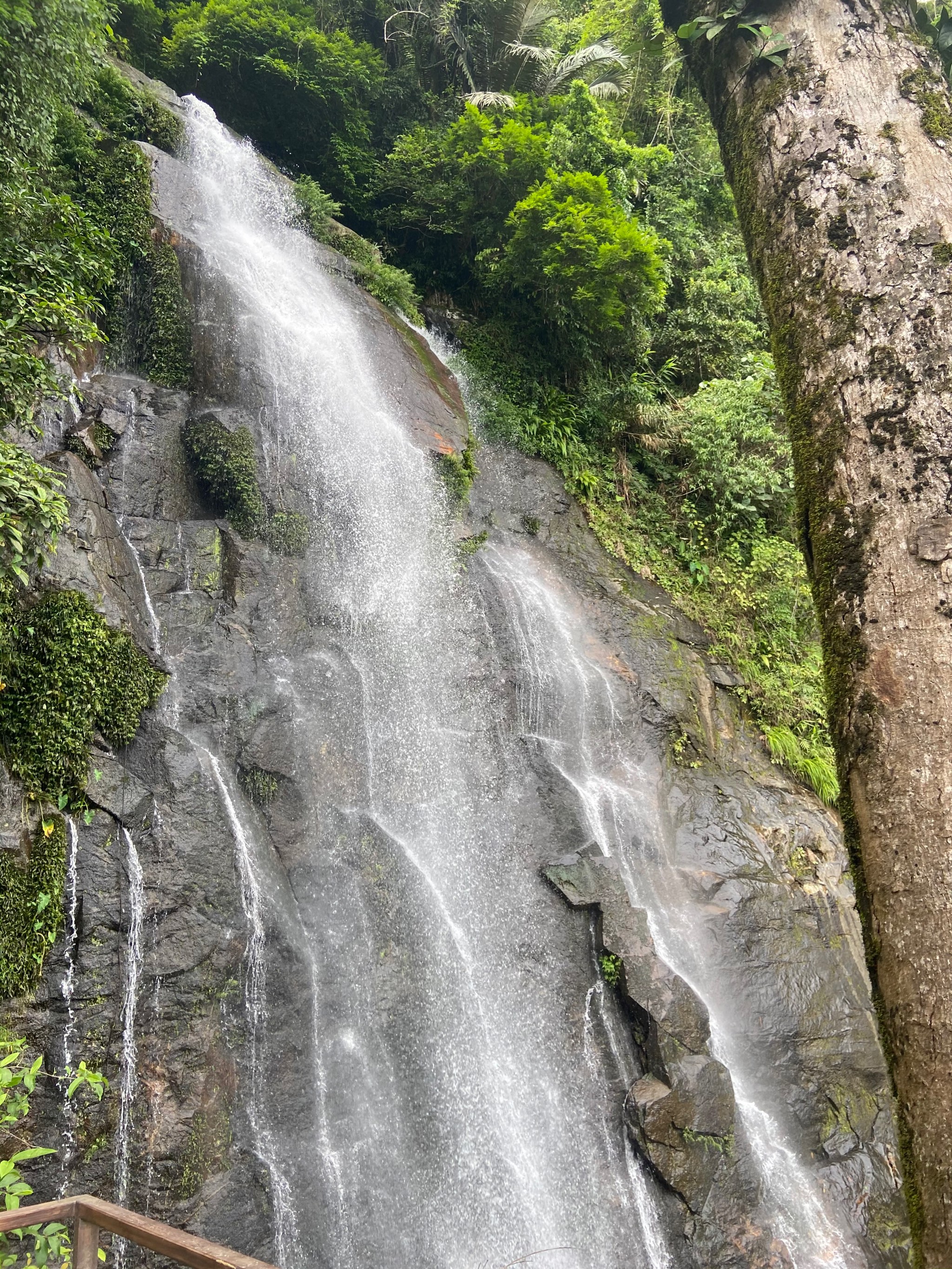 百花岭风景区图片图片